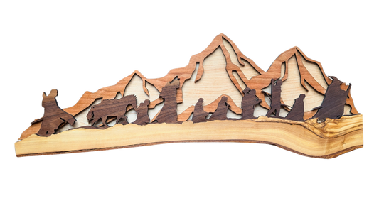 Lord of the Rings - Fellowship display