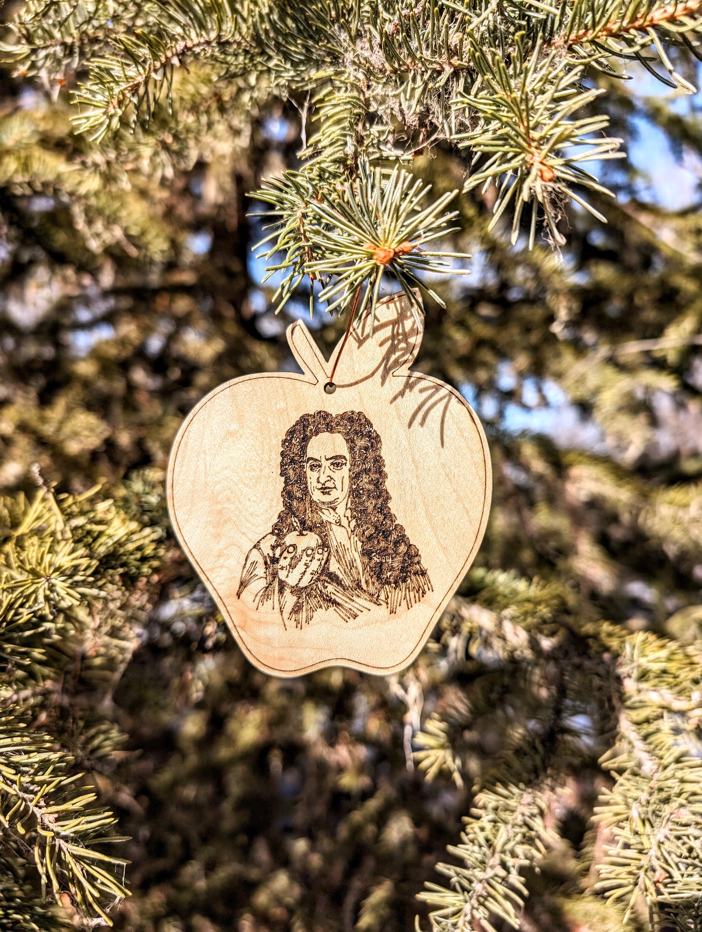 Christmas Ornament - Newton